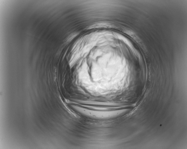 X0000064721233200603031607