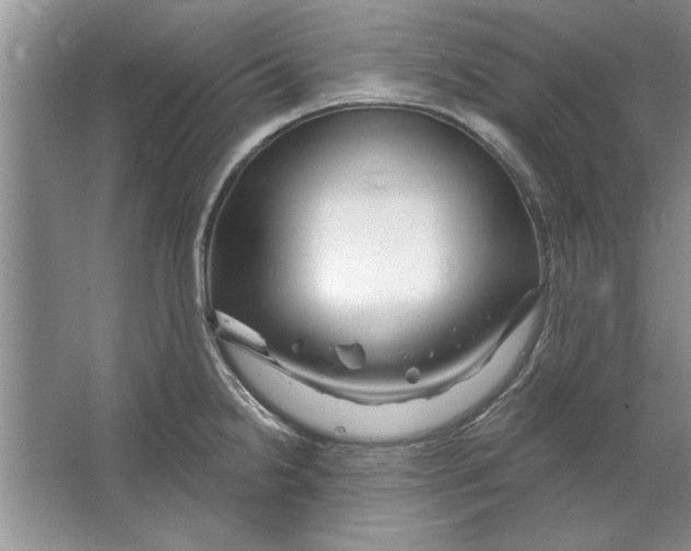 X0000064721238200603031607