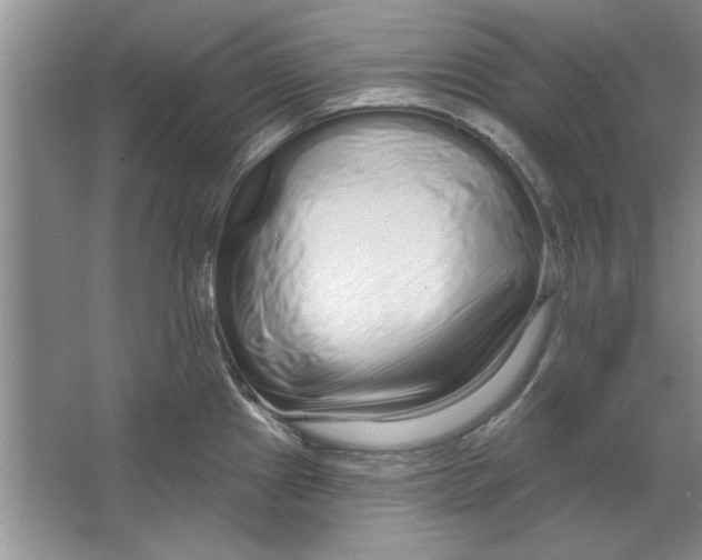 X0000064721241200603031607