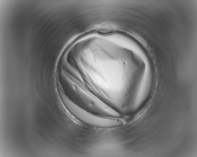 X0000064721248200603031607