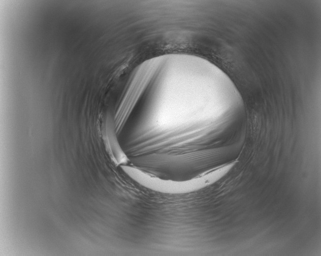 X0000064721250200603031607