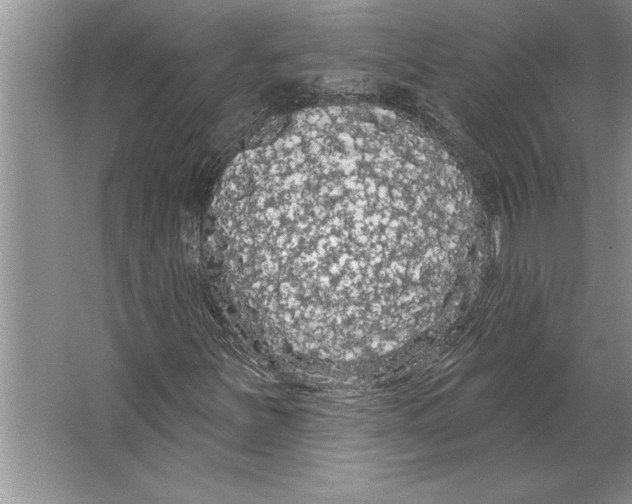 X0000064721251200603031607
