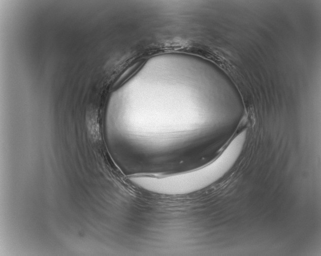 X0000064721252200603031607