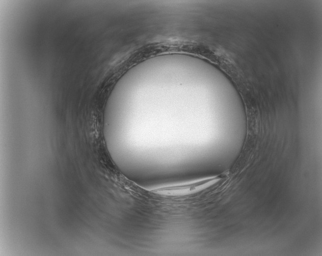 X0000064721253200603031606
