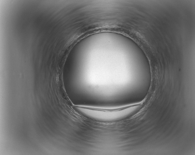 X0000064721257200603031606