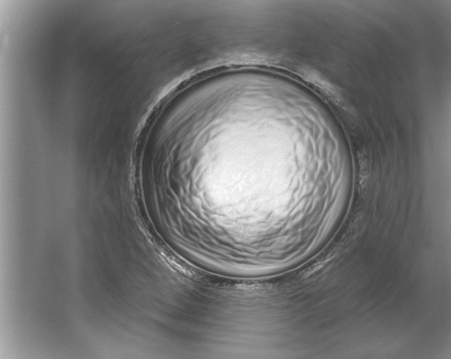 X0000064721264200603031606