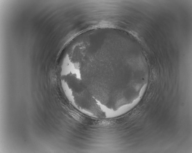 X0000064721266200603031606