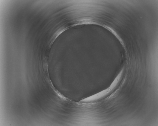 X0000064721289200603031606