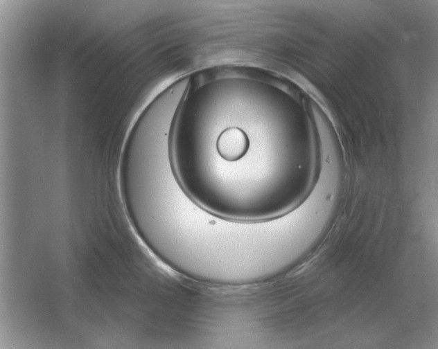 X0000064721293200603031606