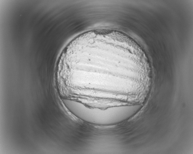 X0000064721296200603031606