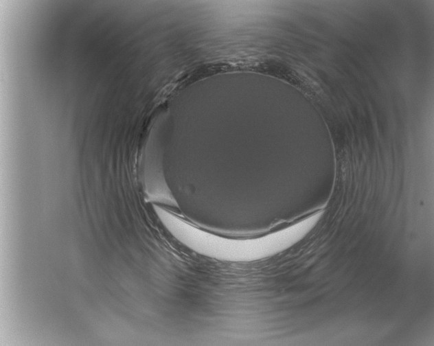 X0000064721298200603031605
