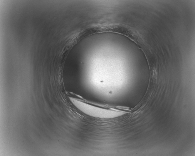 X0000064721300200603031605