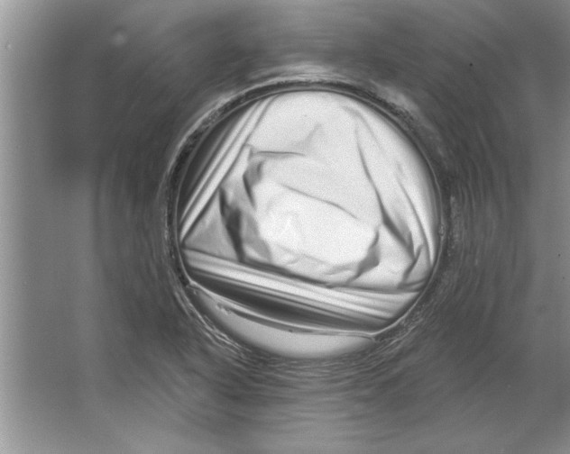 X0000064721318200603031605