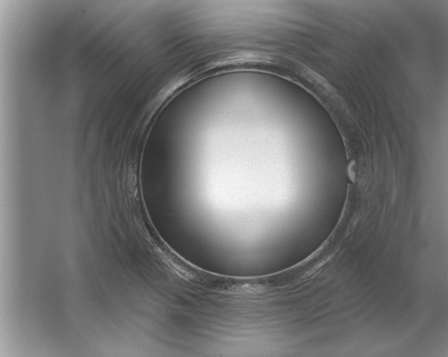 X0000064721321200603031605