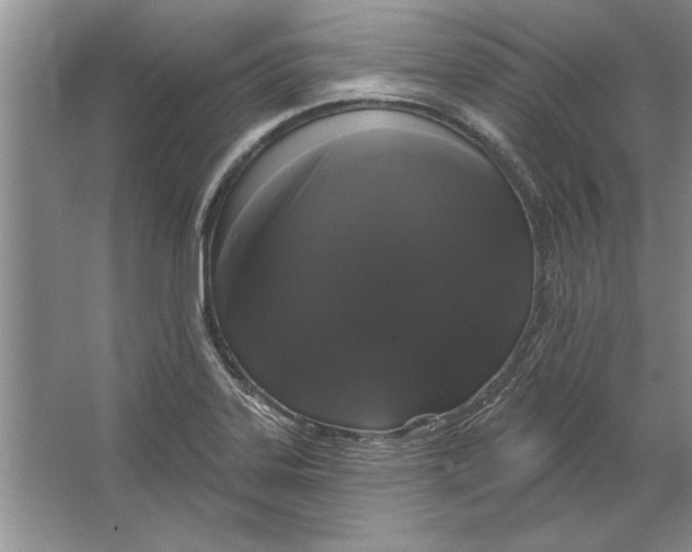 X0000064721323200603031605