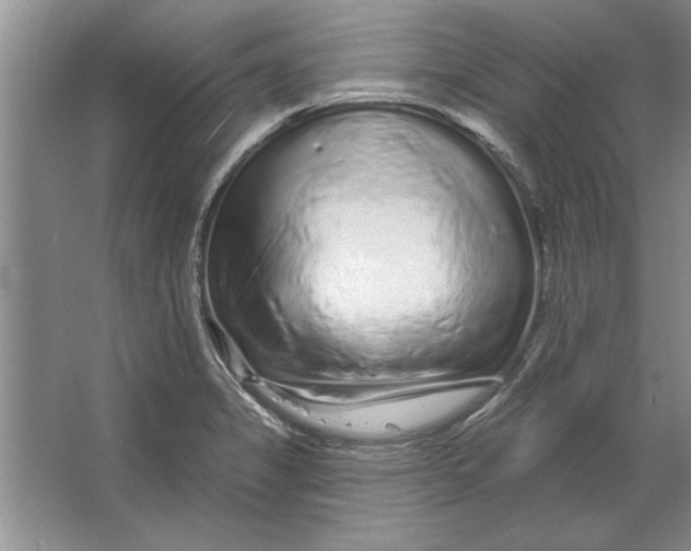X0000064721325200603031605