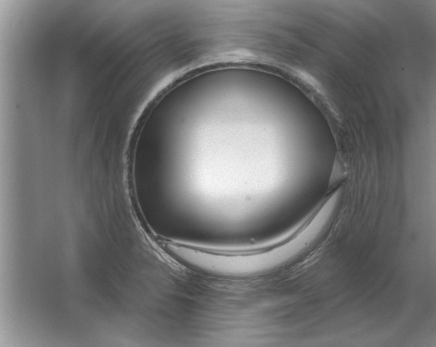 X0000064721326200603031605