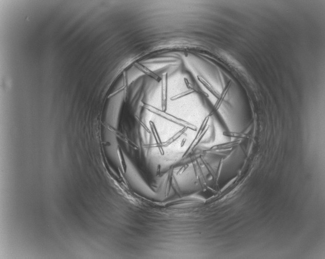 X0000064721329200603031605