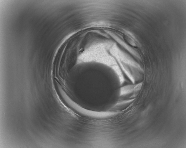X0000064721331200603031606