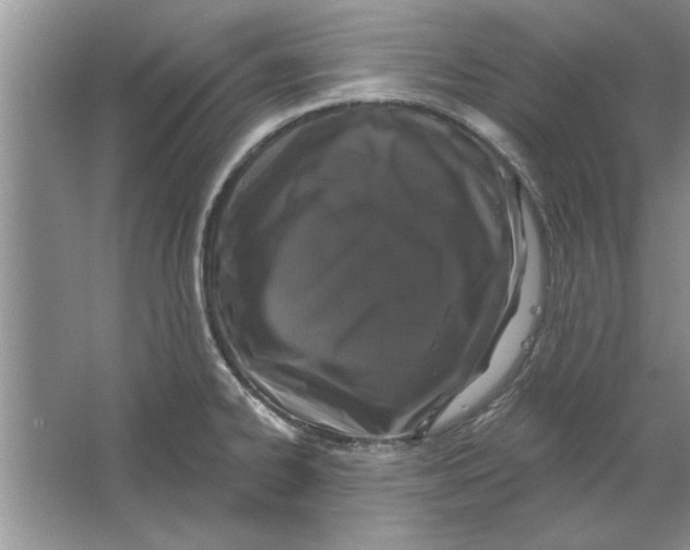 X0000064721334200603031606