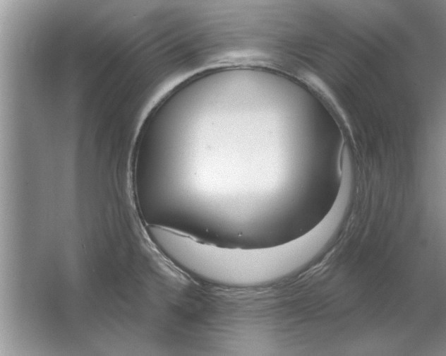 X0000064721336200603031606