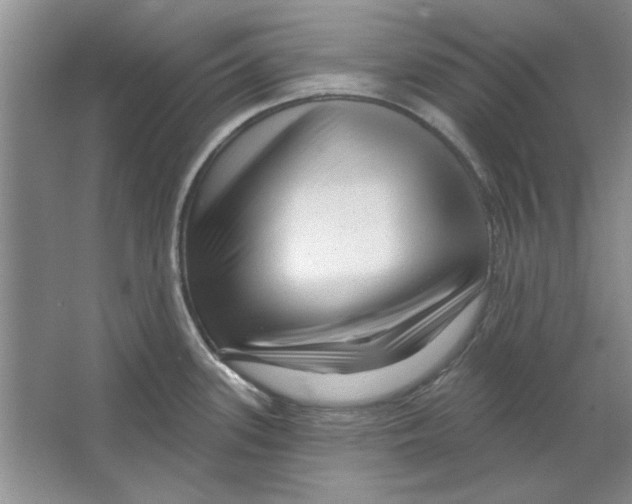 X0000064721339200603031606