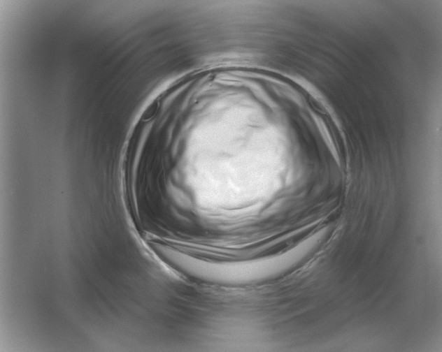 X0000064721341200603031606