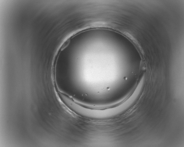 X0000064721342200603031606