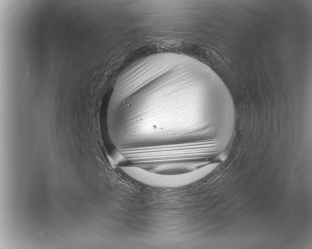 X0000064721345200603031605