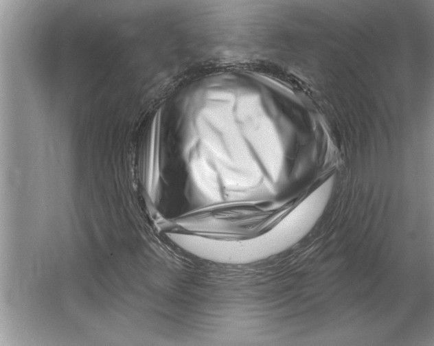 X0000064721348200603031605