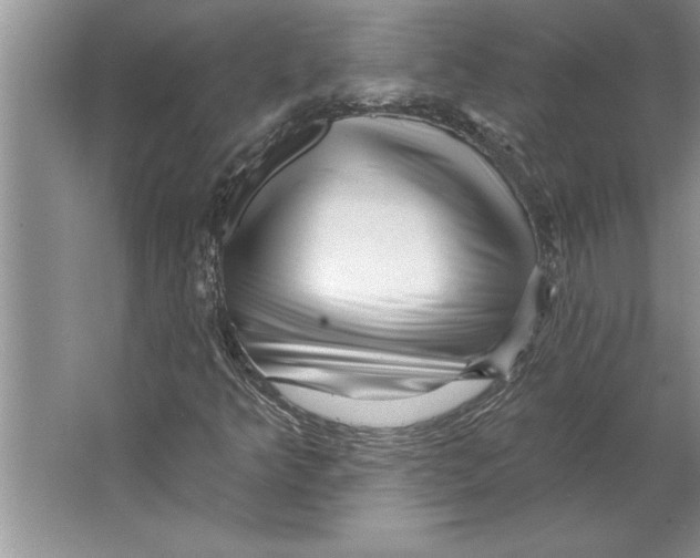X0000064721349200603031605