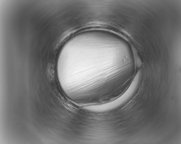 X0000064721355200603031605