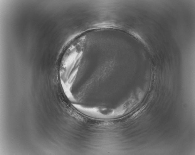 X0000064721358200603031605