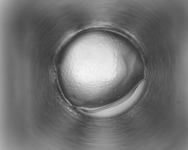 X0000064721363200603031605