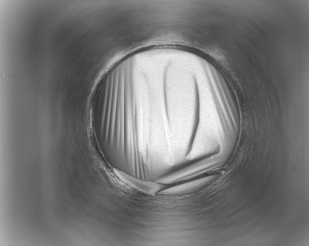 X0000064721366200603031605
