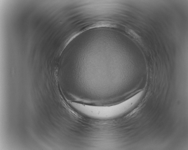 X0000064721369200603031605