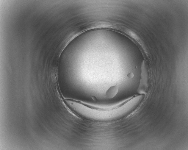 X0000064721377200603031604