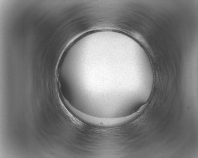 X0000064721380200603031604