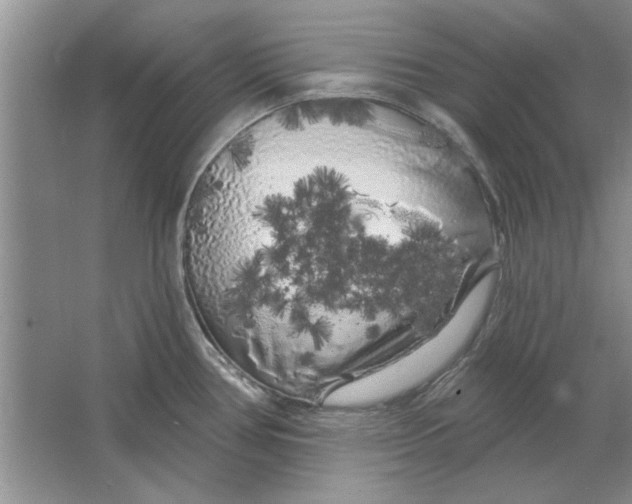 X0000064721386200603031604