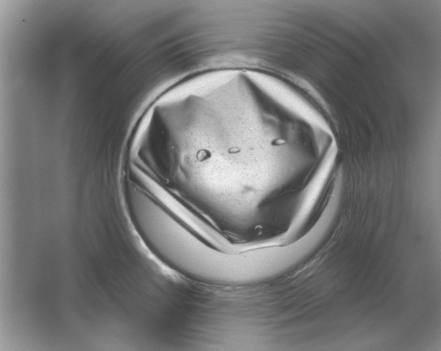 X0000064721387200603031604
