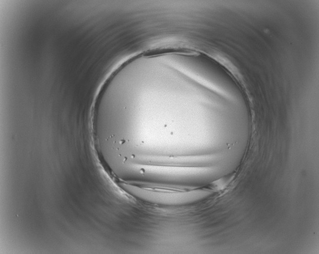 X0000064721392200603031604