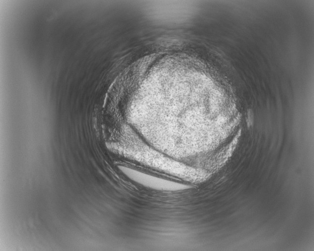 X0000064721396200603031603