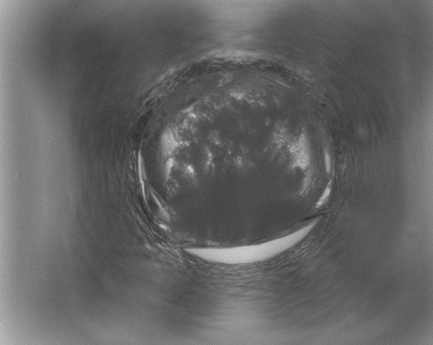 X0000064721397200603031603