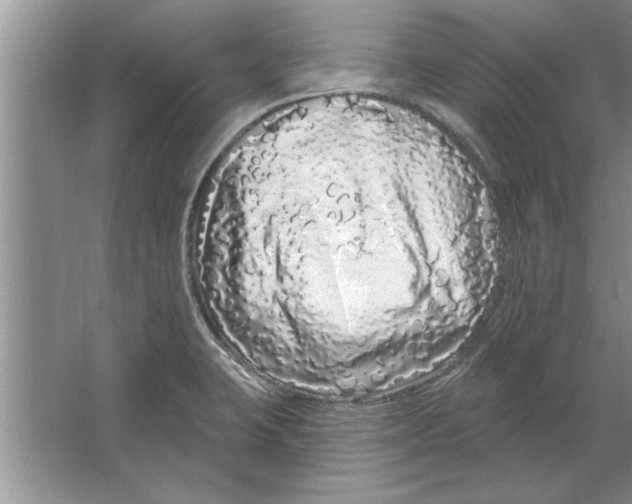 X0000064721423200603031604