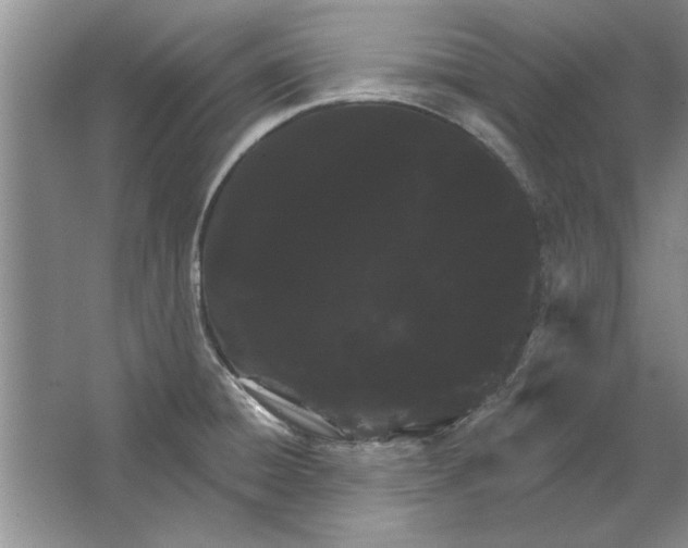 X0000064721428200603031604