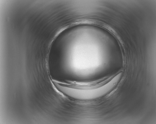 X0000064721433200603031604