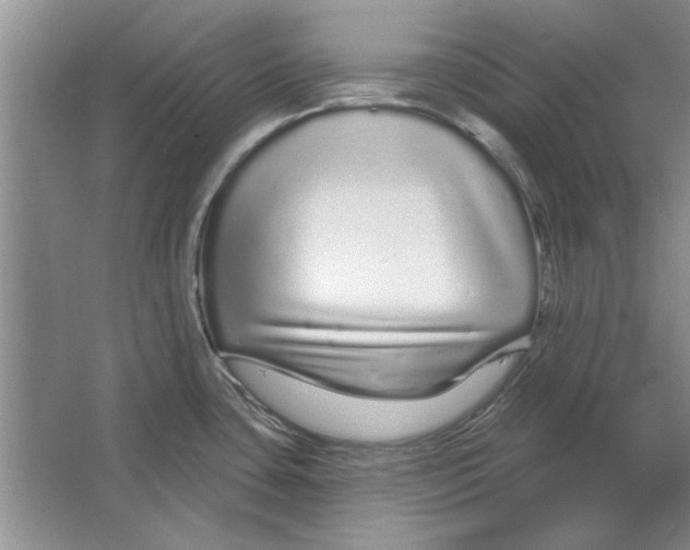 X0000064721435200603031604