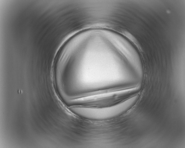 X0000064721436200603031604