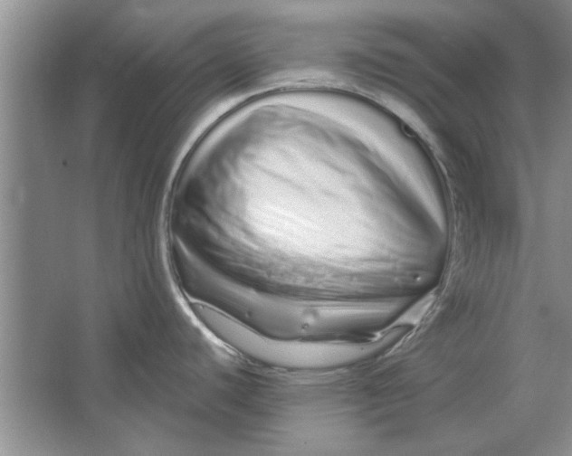 X0000064721440200603031604