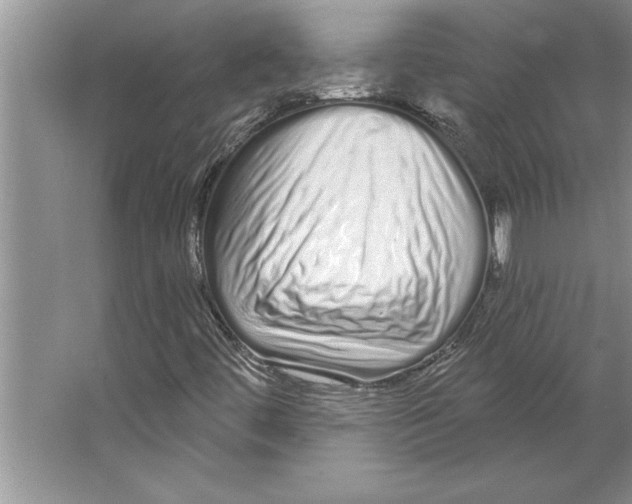 X0000064721444200603031603